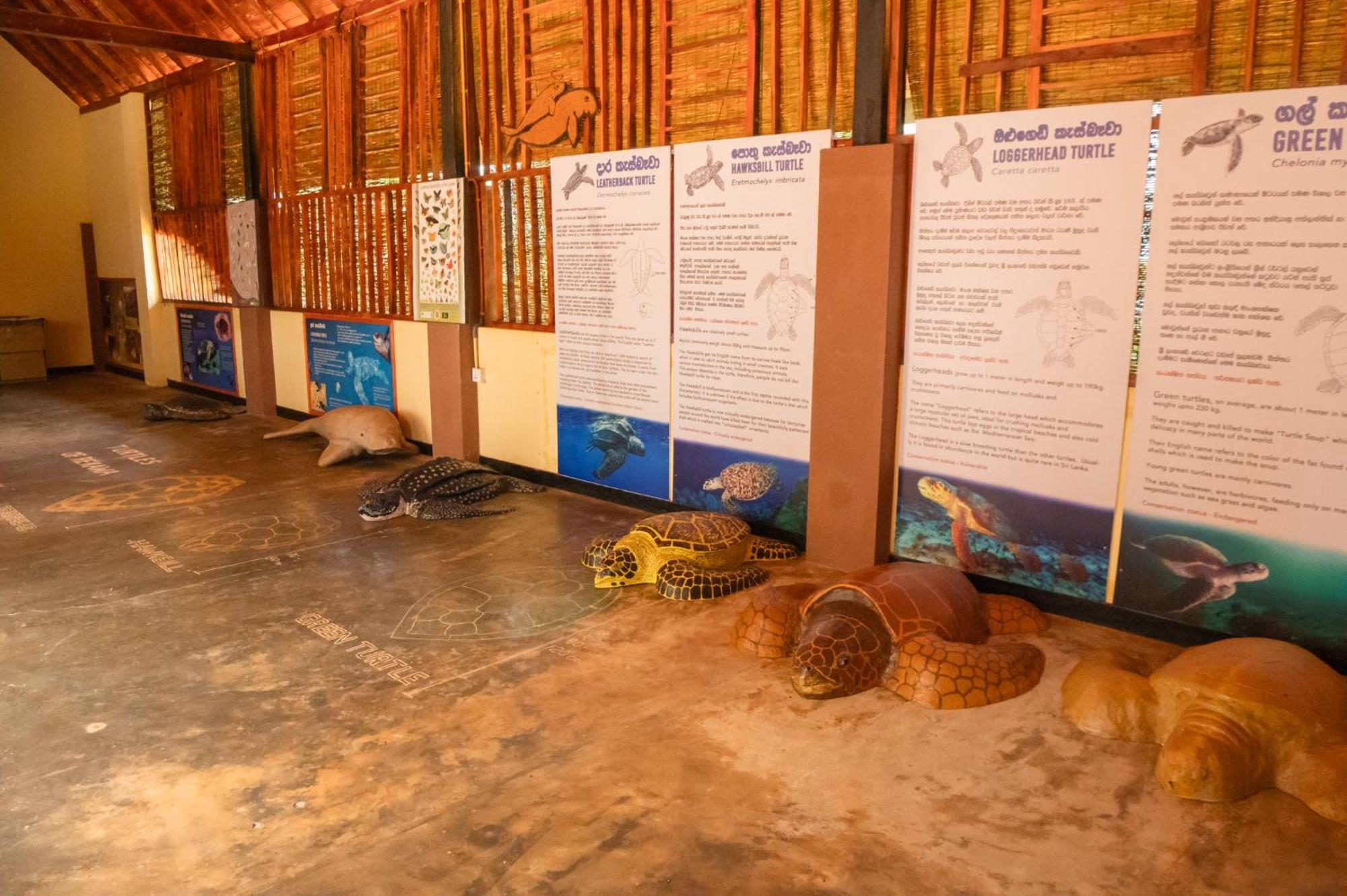 Rekawa Turtle Gate Hotel Tangalle Extérieur photo