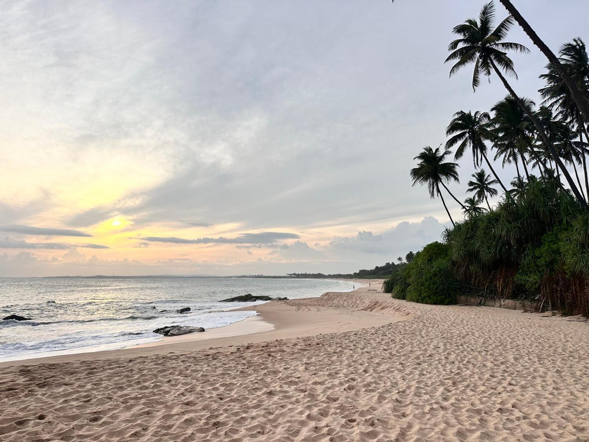 Rekawa Turtle Gate Hotel Tangalle Extérieur photo